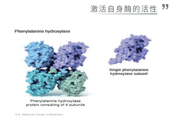 歌锐娜聚焦非侵入护肤领域，打造生物护肤领域开启美业新篇章