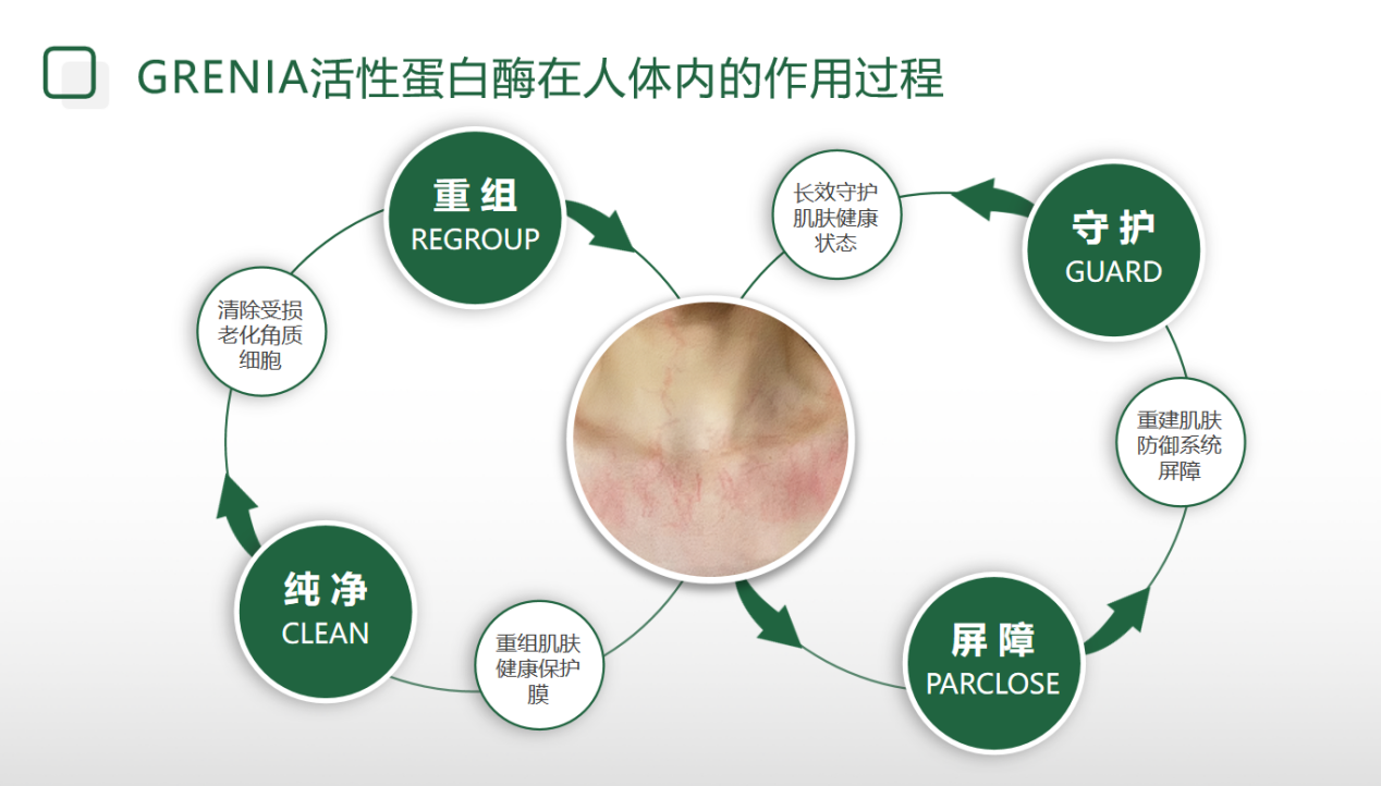 歌锐娜活性蛋白酶，定制更适合国人肤质的刷酶方案