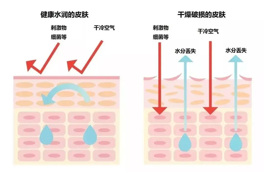 歌锐娜深海焕肤套盒，关于院线护肤仪式感的满分答卷